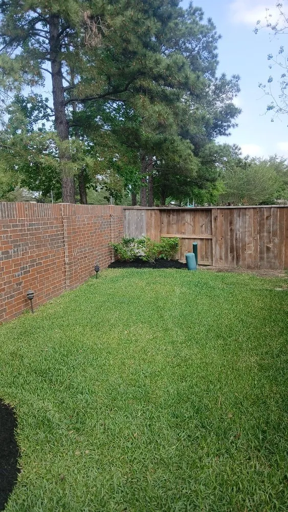 Professional landscape installation in Katy, TX by Martinez Professional Trees