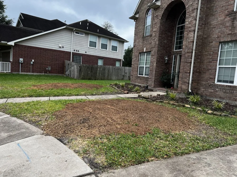 Reliable yard cleanup service in Katy, TX by Martinez Professional Trees