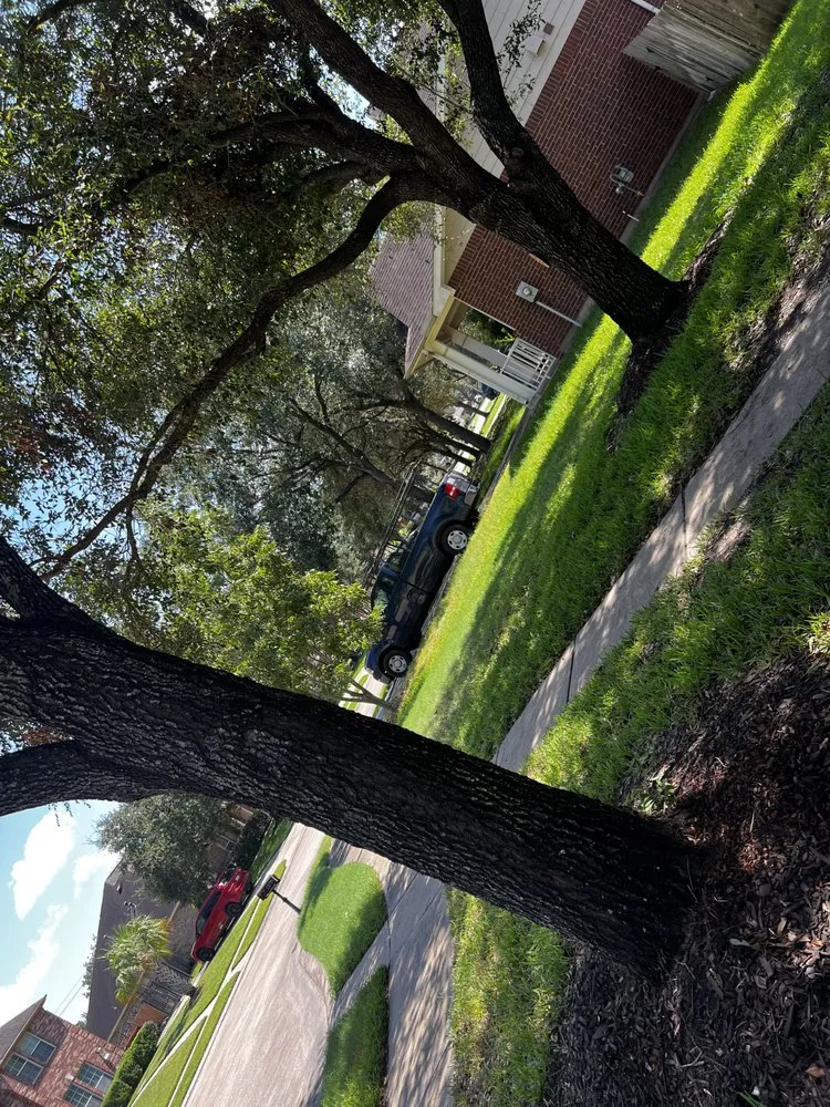 Top-rated landscaping services for homes across Katy, TX - Martinez Professional Trees