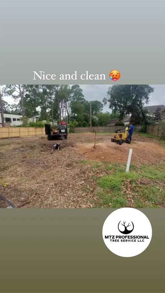 Local outdoor landscaping in Katy, TX - Martinez Professional Trees