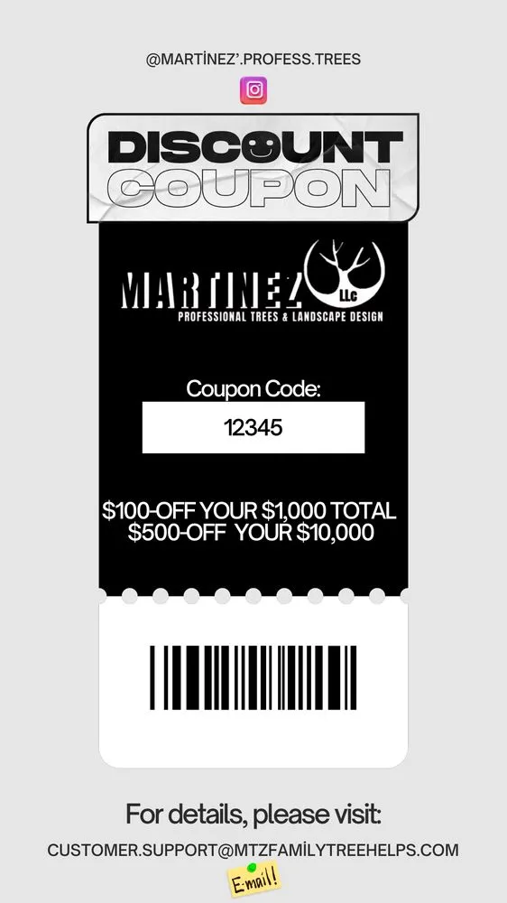 Top-rated yard maintenance experts serving Katy, TX - Martinez Professional Trees