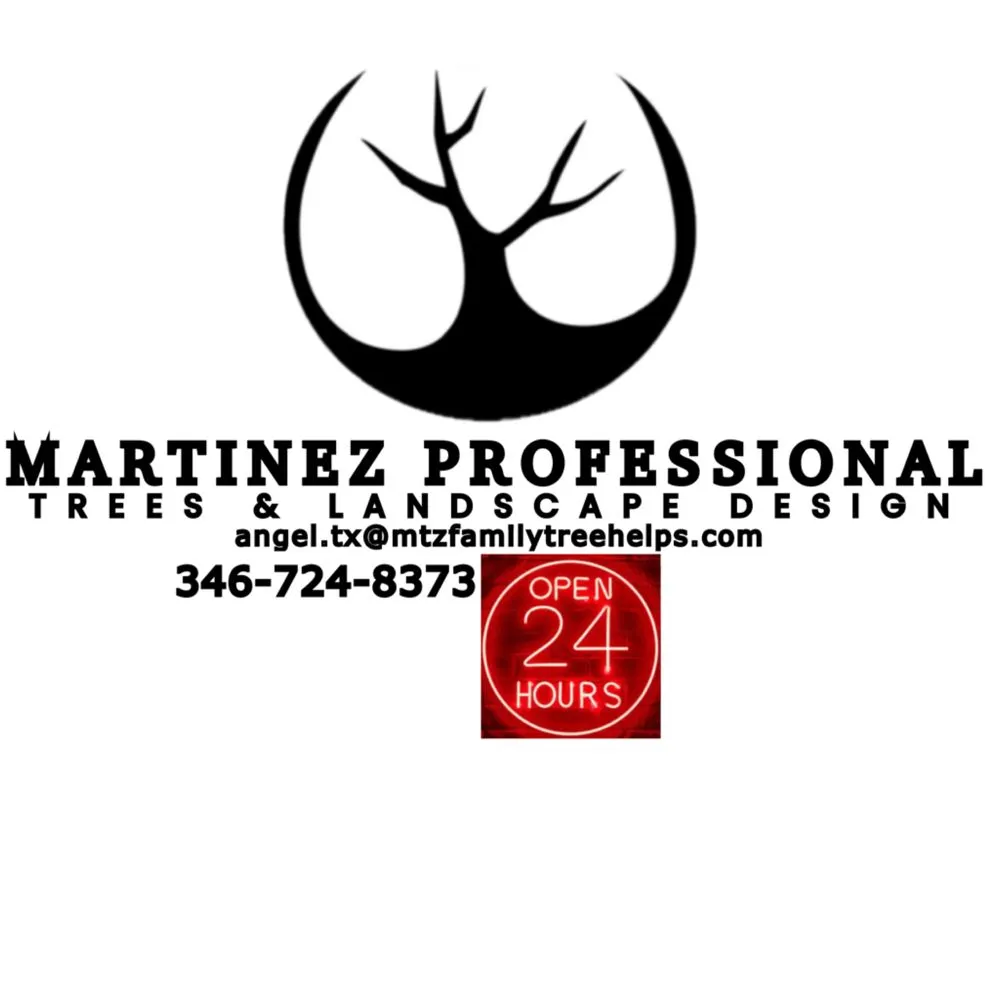 Expert outdoor landscaping experts serving Katy, TX - Martinez Professional Trees