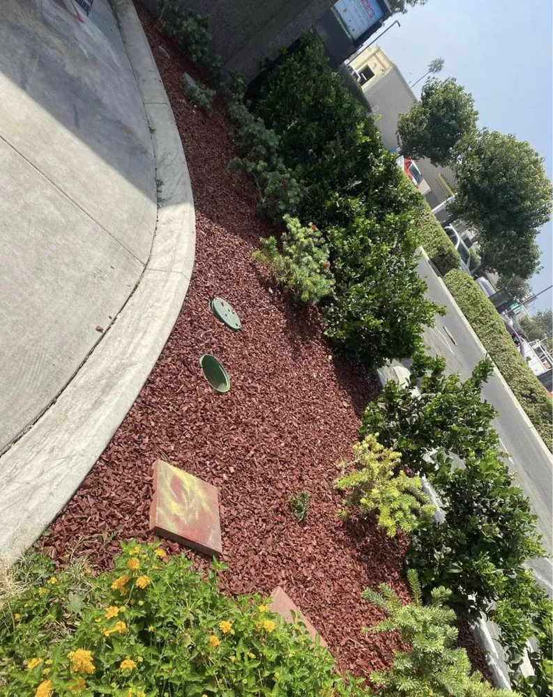 Affordable yard cleanup service in Fontana, CA - Martinez Services