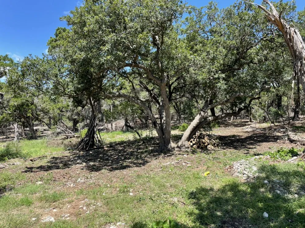 Professional lawn care service for year-round maintenance across Ingram, TX - Martinez Services