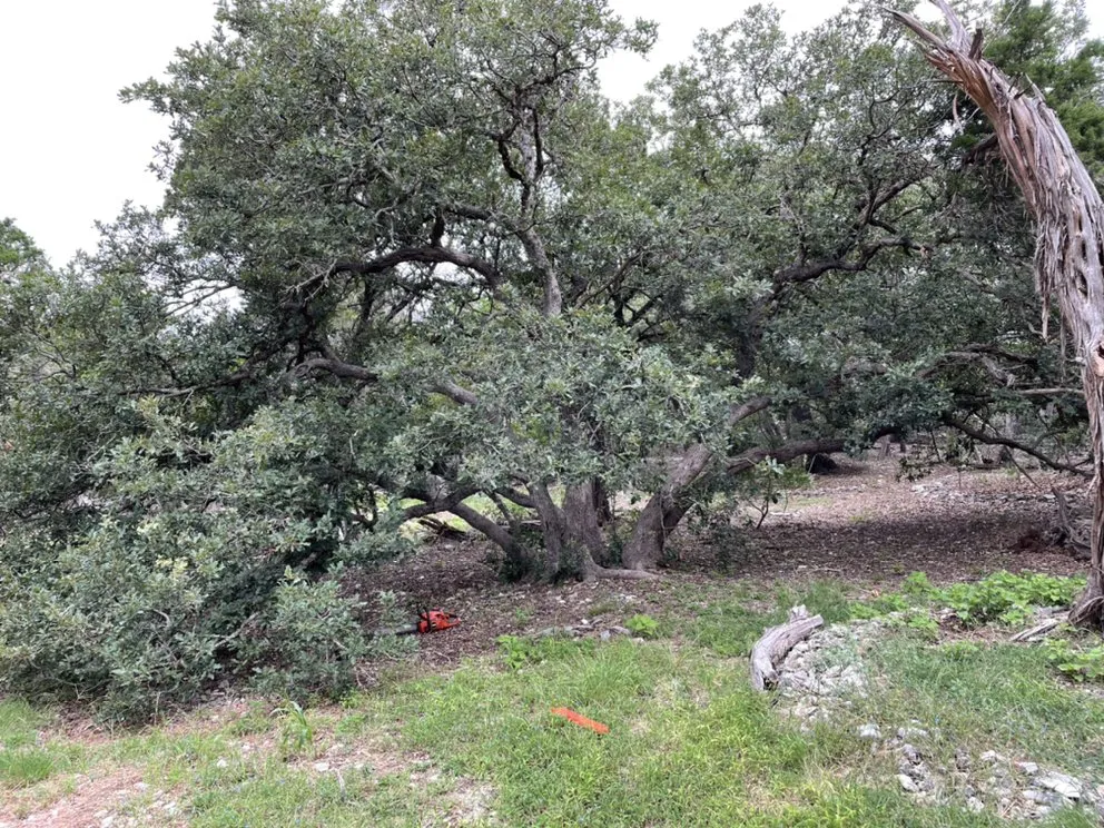 Custom lawn mowing service in Ingram, TX by Martinez Services