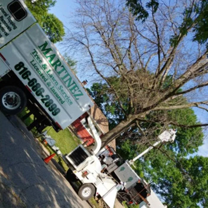 Trusted yard maintenance experts serving Kansas City, MO - Martinez Tree & Lawn Service