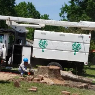 Top-rated lawn mowing service for year-round maintenance in Kansas City, MO by Martinez Tree & Lawn Service