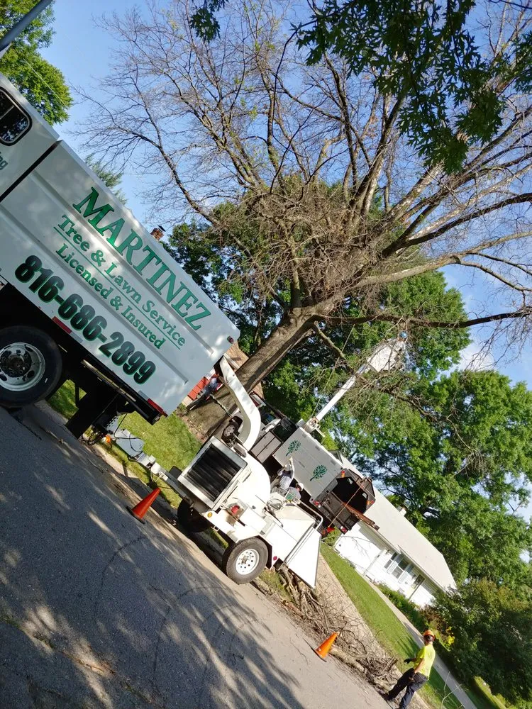 Custom landscaping services experts serving Kansas City, MO - Martinez Tree & Lawn Service