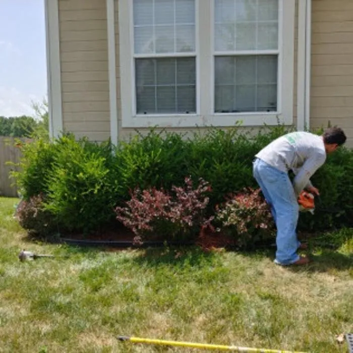 Local lawn care service in Kansas City, MO - Martinez Tree & Lawn Service