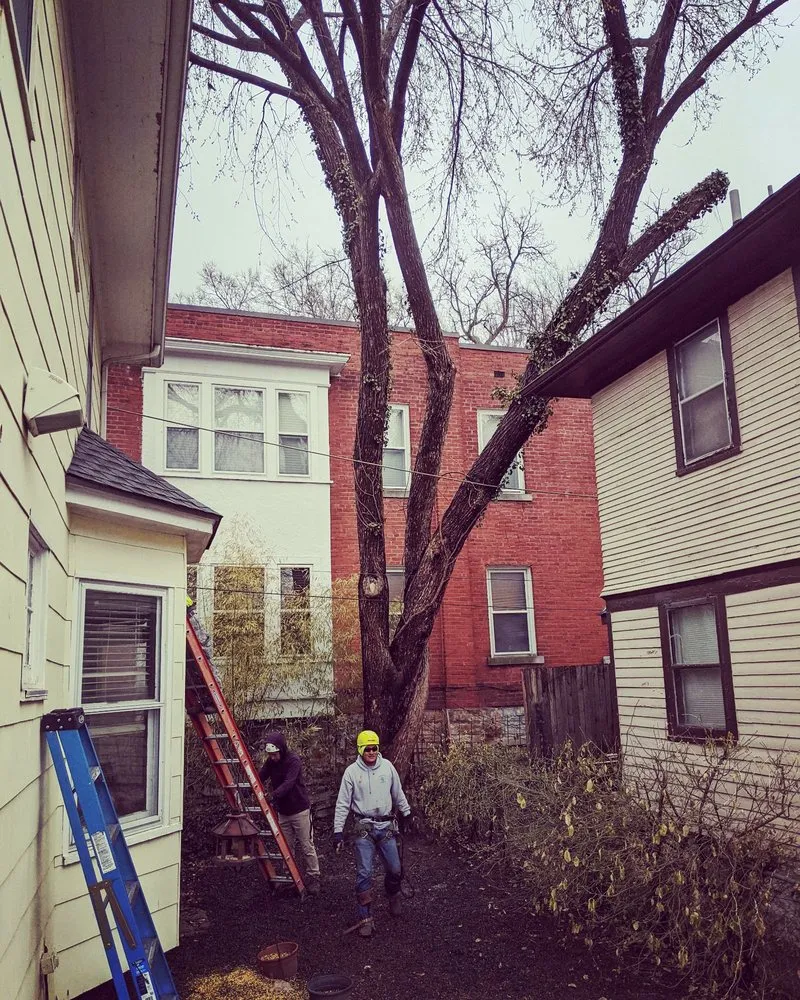 Expert yard maintenance in Kansas City, MO by Martinez Tree & Lawn Service