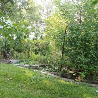 Trusted yard cleanup service experts serving Kansas City, MO - Martinez Tree & Lawn Service