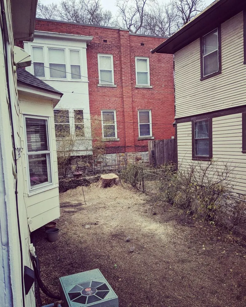 Trusted yard cleanup service experts serving Kansas City, MO - Martinez Tree & Lawn Service