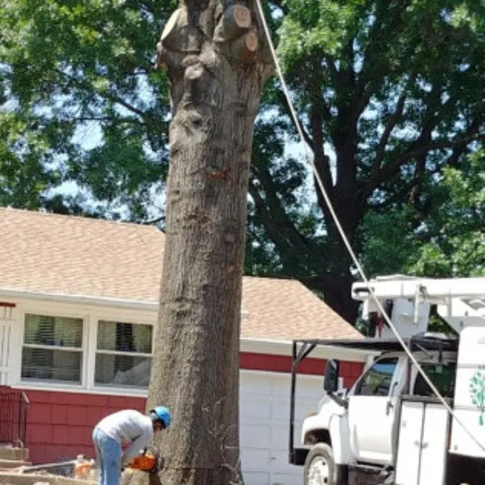 Top-rated yard maintenance in Kansas City, MO by Martinez Tree & Lawn Service