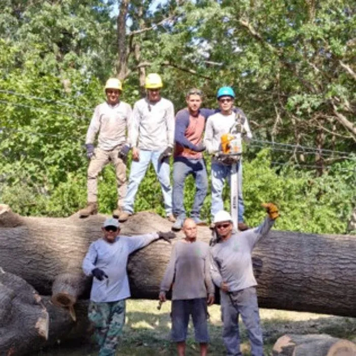 Local yard maintenance with custom design in Kansas City, MO by Martinez Tree & Lawn Service