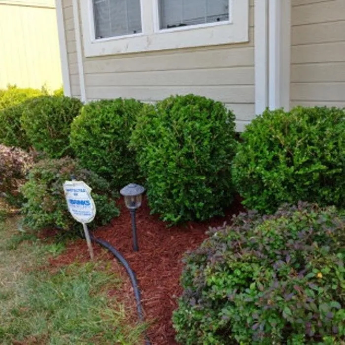 Expert landscape installation in Kansas City, MO by Martinez Tree & Lawn Service