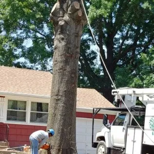 Local yard cleanup service experts serving Kansas City, MO - Martinez Tree & Lawn Service