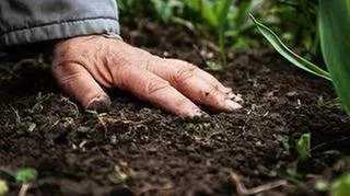 Custom lawn care service for homes across Punta Gorda, FL - Martinez Tree and Sod Service