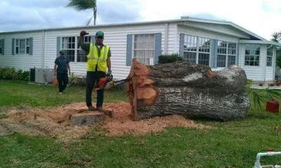 Custom lawn mowing service experts serving Punta Gorda, FL - Martinez Tree and Sod Service