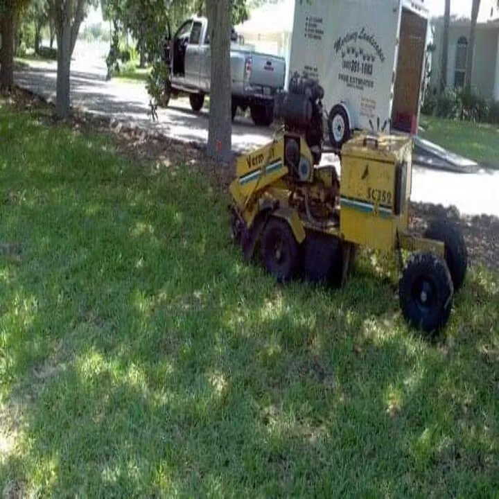 Reliable landscape design in Punta Gorda, FL - Martinez Tree and Sod Service