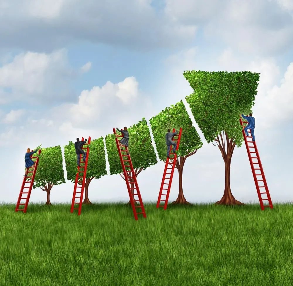 Affordable landscape installation in Springtown, TX - Martinez Tree Service & Landscaping