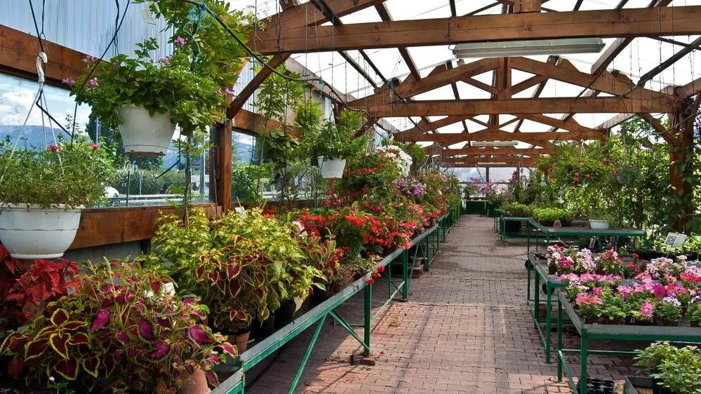 Professional garden landscaping near you across Springtown, TX - Martinez Tree Service & Landscaping