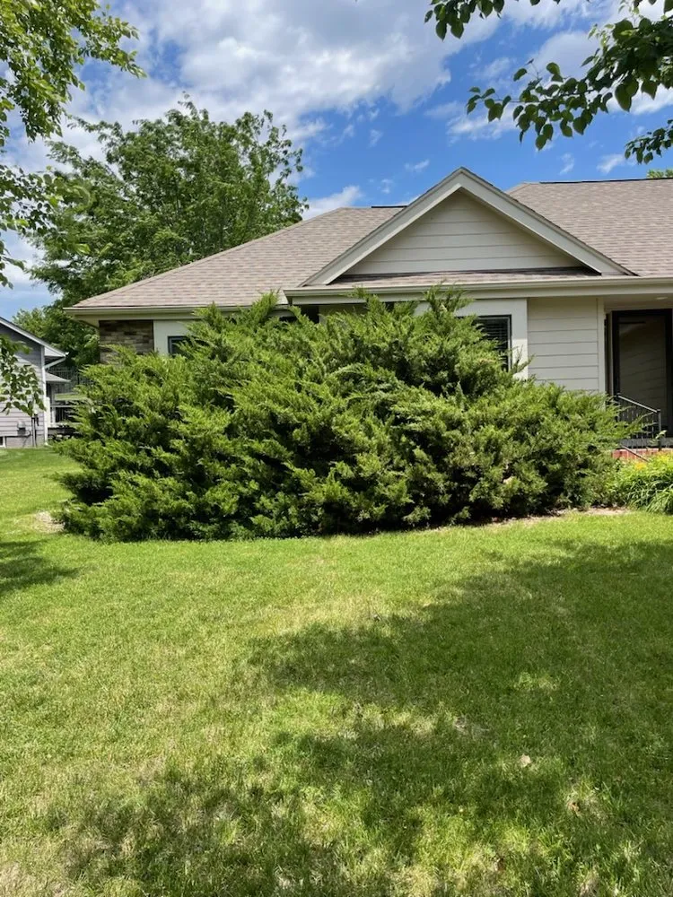 Professional yard cleanup service for residential properties in Council Bluffs, IA by Martinez Tree Service