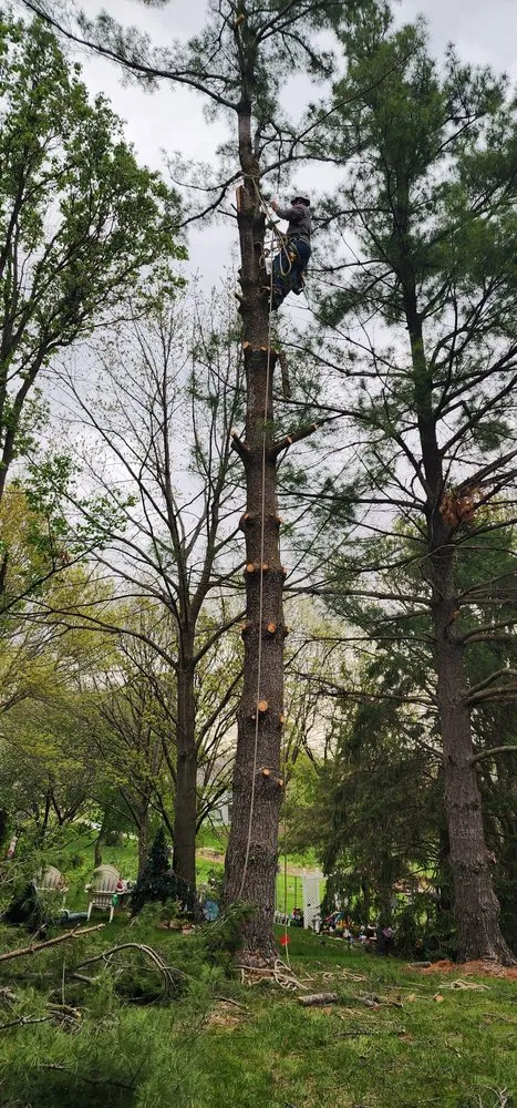 Expert garden landscaping with custom design across Council Bluffs, IA - Martinez Tree Service