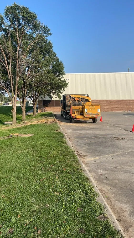 Local landscape design for residential properties in Council Bluffs, IA by Martinez Tree Service