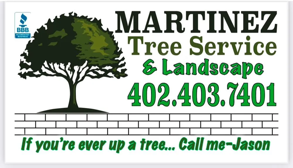 Professional outdoor landscaping with custom design in Council Bluffs, IA by Martinez Tree Service