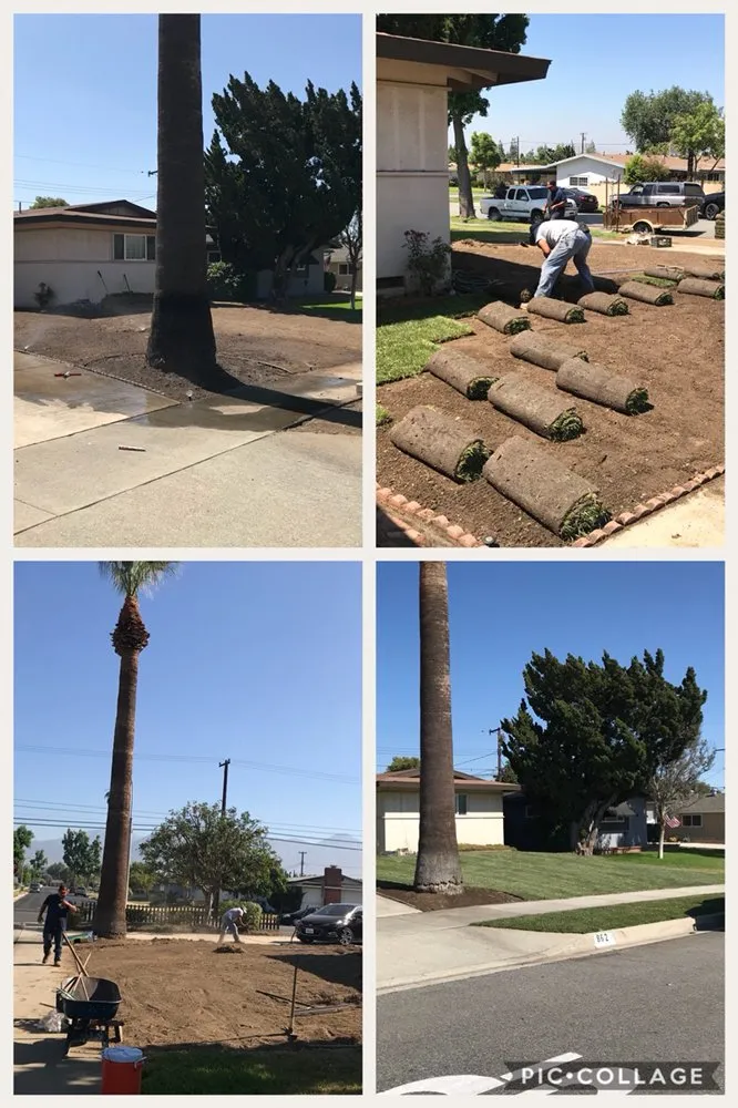 Affordable lawn mowing service for outdoor upgrades in Fontana, CA by Martinez Tree Service