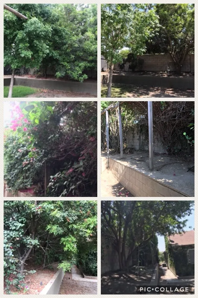 Expert garden landscaping experts serving Fontana, CA - Martinez Tree Service