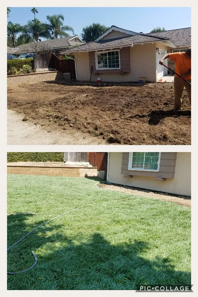 Local residential landscaping for homes in Fontana, CA by Martinez Tree Service