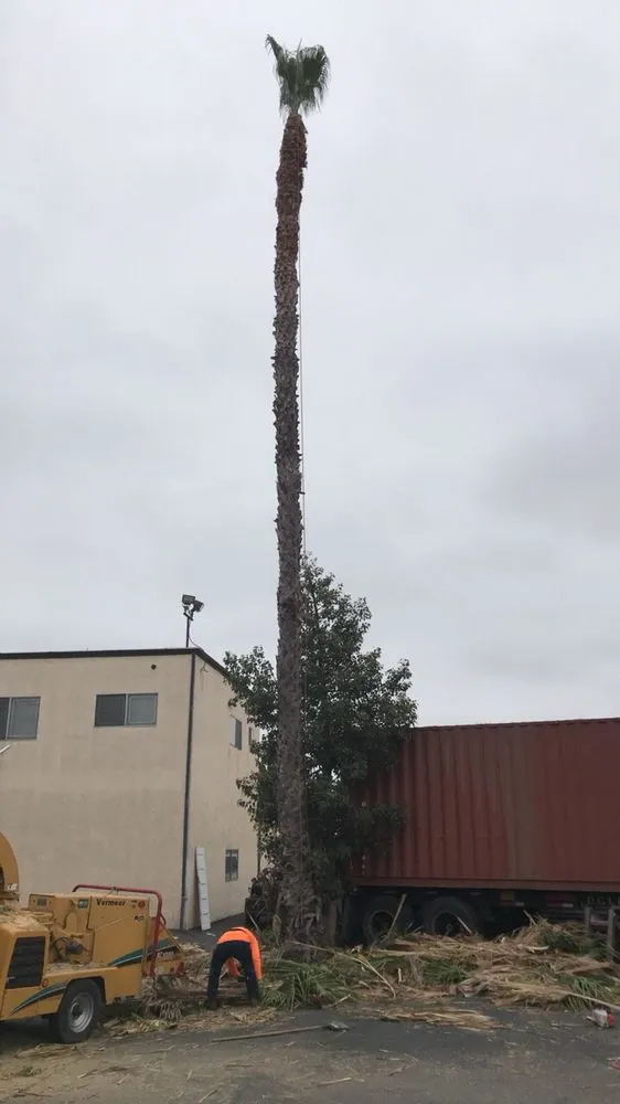 Reliable landscape installation experts serving Fontana, CA - Martinez Tree Service