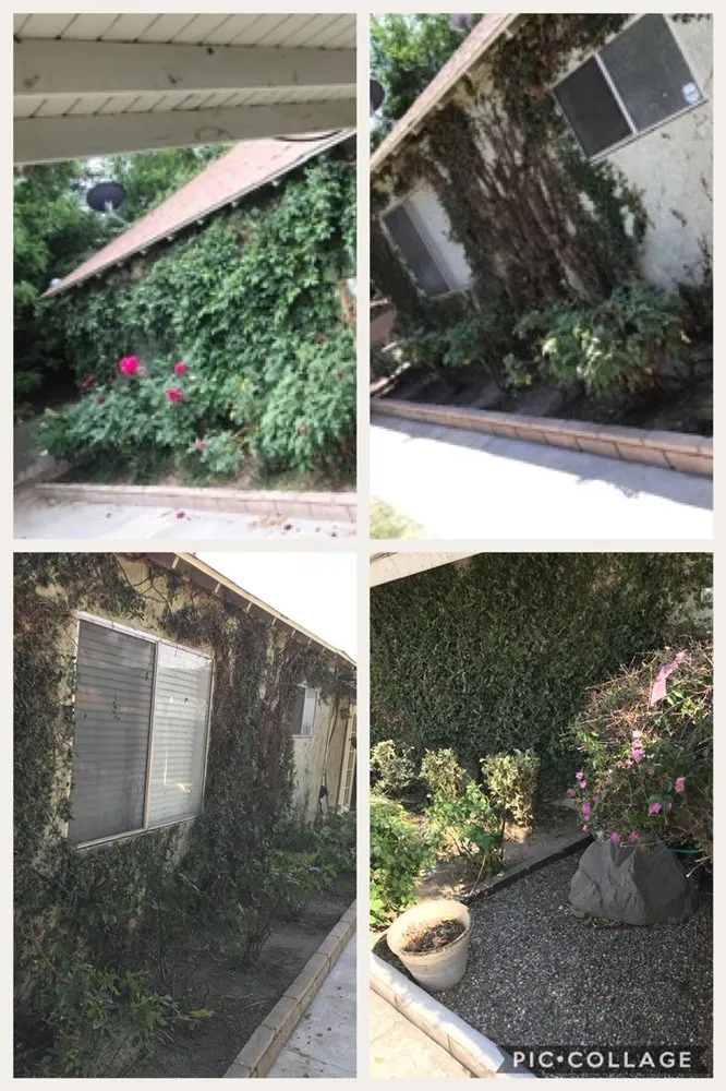 Trusted landscaping services experts serving Fontana, CA - Martinez Tree Service