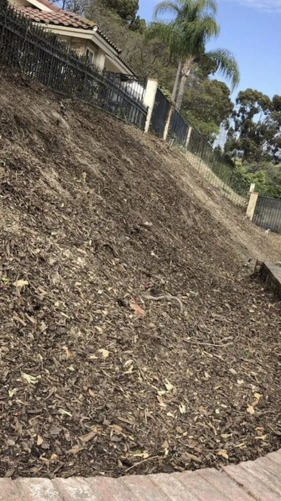 Expert lawn care service experts serving La Puente, CA - Martinez Tree Service