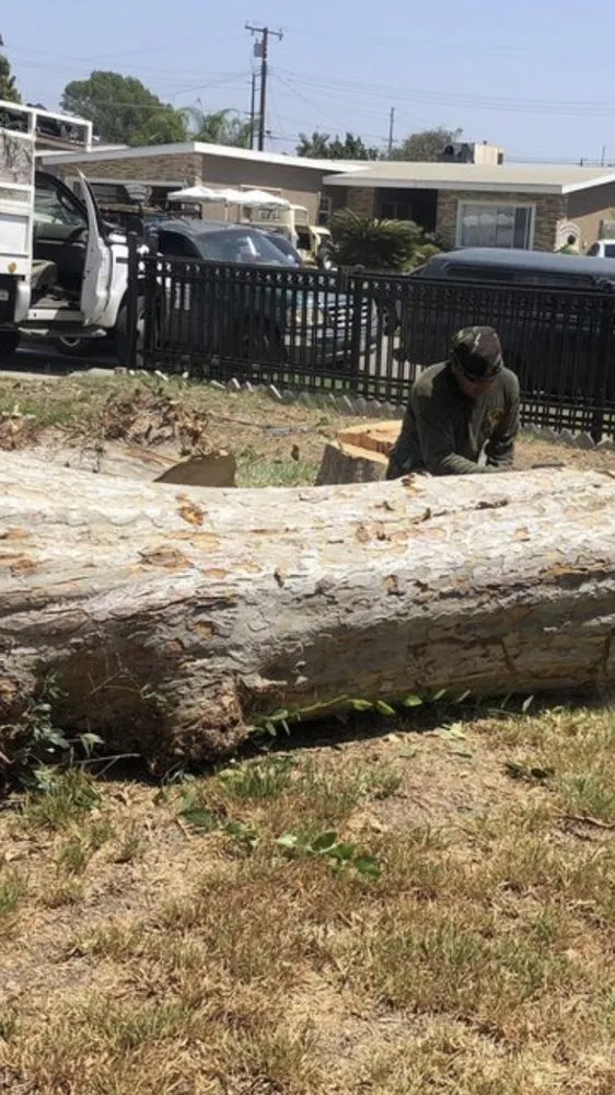 Custom residential landscaping for residential properties across La Puente, CA - Martinez Tree Service