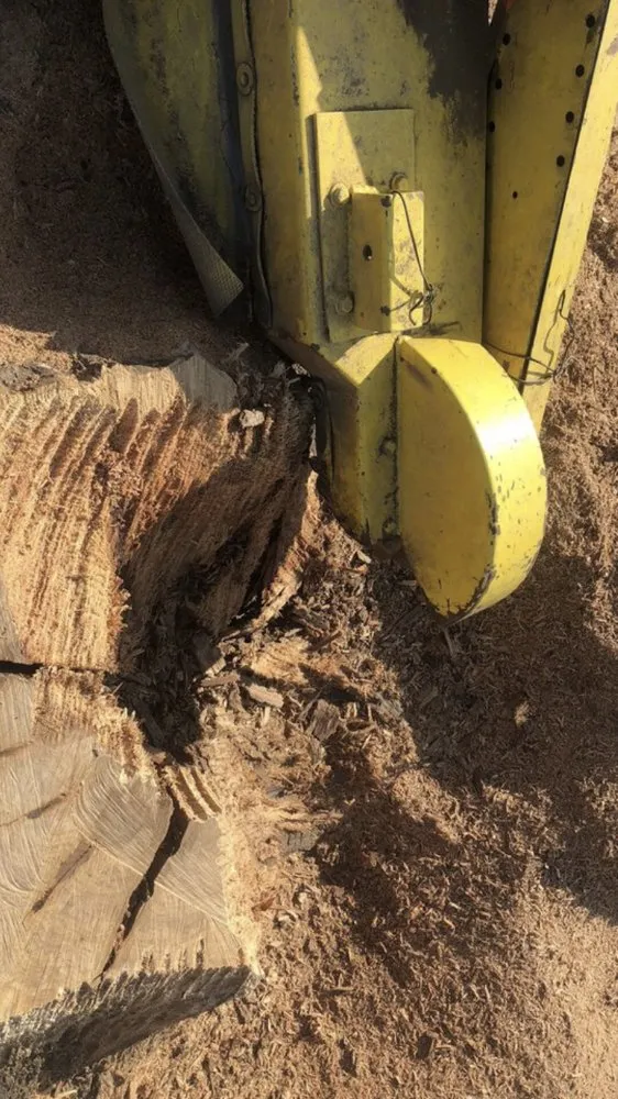 Reliable yard maintenance in La Puente, CA by Martinez Tree Service