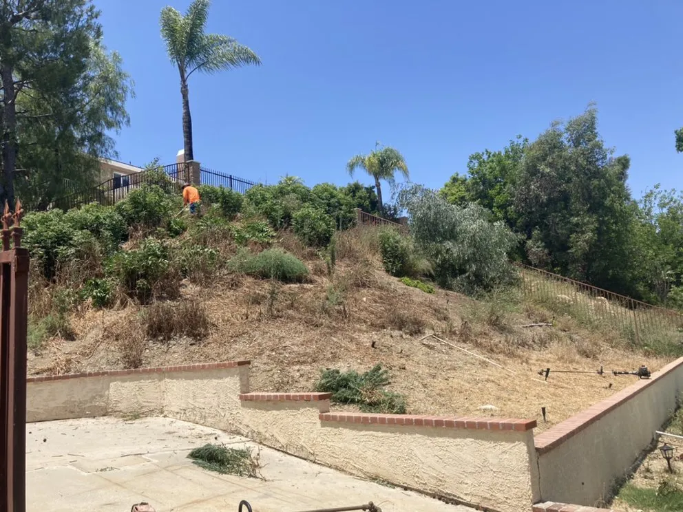 Top-rated residential landscaping in La Puente, CA by Martinez Tree Service