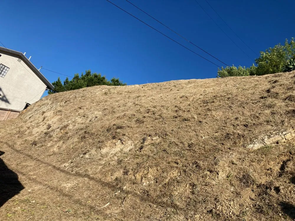 Local lawn mowing service in La Puente, CA by Martinez Tree Service