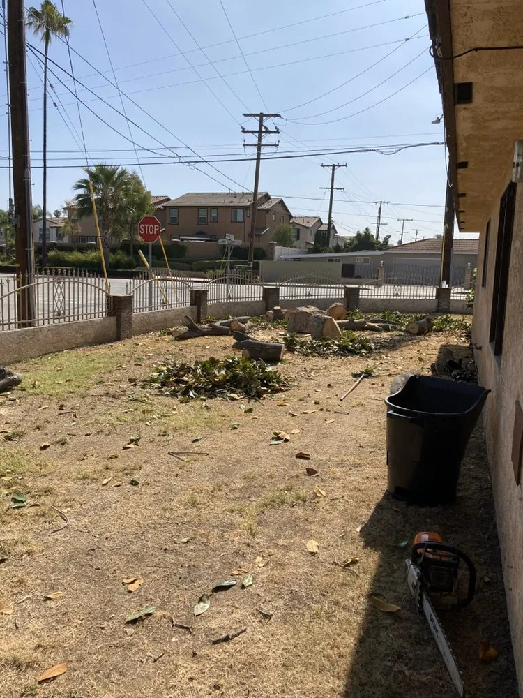 Affordable lawn care service experts serving La Puente, CA - Martinez Tree Service