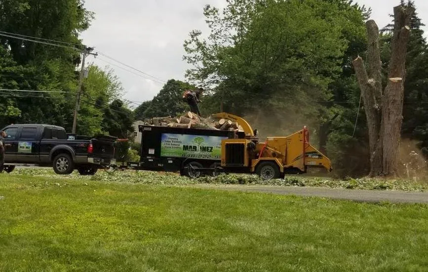 Affordable garden landscaping for residential properties across Lakewood, NJ - Martinez Tree Service