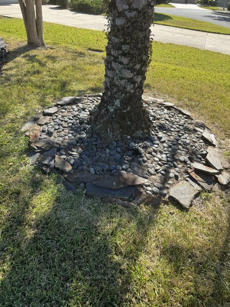Top-rated outdoor landscaping in Weirsdale, FL - Martinez Weed Control