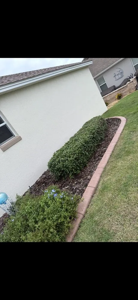 Local landscaping services experts serving Weirsdale, FL - Martinez Weed Control