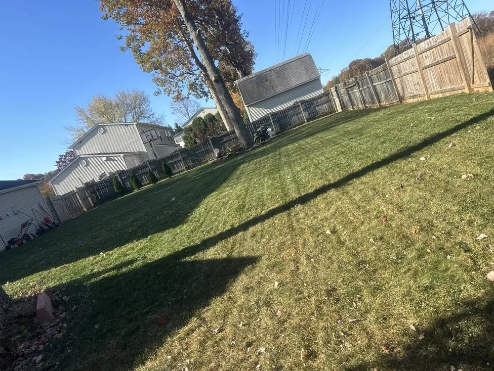 Professional outdoor landscaping in Woodbridge, VA by Martinez Working