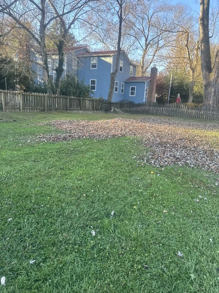 Custom outdoor landscaping for outdoor upgrades in Woodbridge, VA by Martinez Working