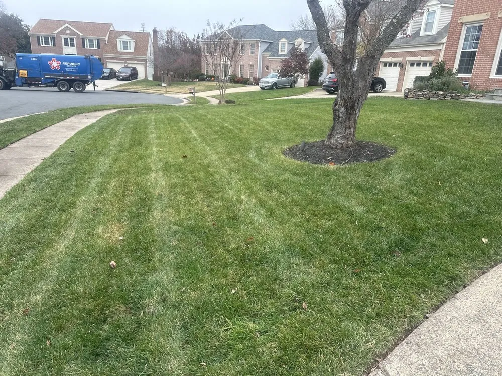 Expert landscape design with custom design in Woodbridge, VA by Martinez Working