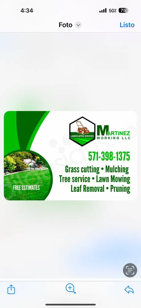 Professional landscaping services for year-round maintenance across Woodbridge, VA - Martinez Working