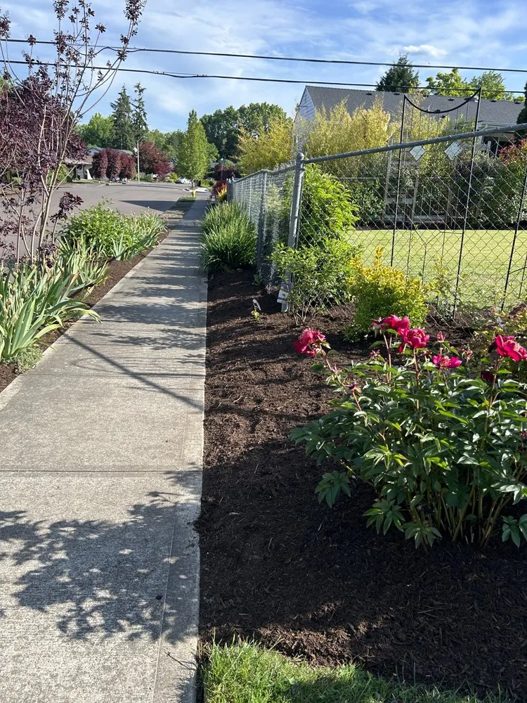 Top-rated landscape design experts serving Beaverton, OR - Martinez Yard Care