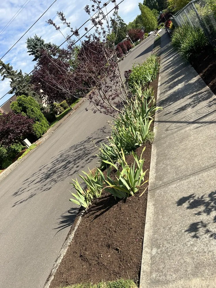Affordable landscaping services for beautiful yards in Beaverton, OR by Martinez Yard Care