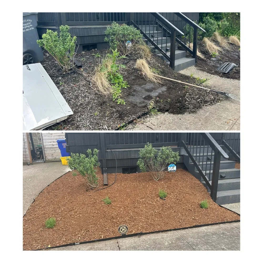 Professional yard cleanup service experts serving Beaverton, OR - Martinez Yard Care